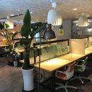 해제로 카페 이미지