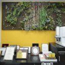 부평안치과의원 이미지