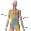 더블유필라테스 이미지