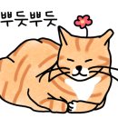 우리술당당 서울숲점