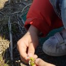 화순 하니움문화스포츠센터 공설운동장 이미지