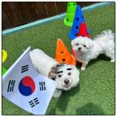 호텔맘