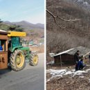 진밭목장 이미지