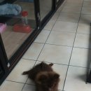 멍멍회관 이미지