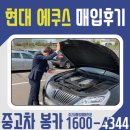 한전카매니저 | 부산중고차매입 전지역 최고가 매입해드려요~