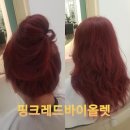 둔전손칼국수 이미지