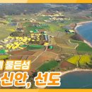 [섬섬옥수] 수선화 향기 가득~ 노랗게 물든 섬, 선도 - 전남 신안 | KBS 210409 방송 이미지