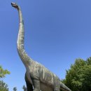 김천부곡초등학교 이미지