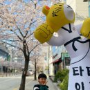 국가대표 타이거 태권스쿨 2관 이미지