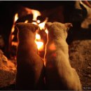 불은농장 이미지