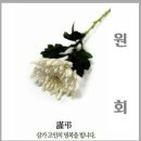 ※《원덕성 회원 빙모喪》※ 이미지