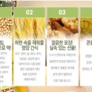해피웰빙푸드