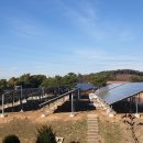 상록햇빛발전소 이미지