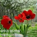 건강하세요