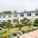 청라초등학교 Daum카페