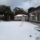 세화 동백그늘 이미지