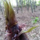 동실농장 이미지