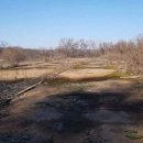 미산면사무소 이미지