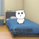 무등동물병원 | Wawa