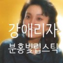 강애리자 / 분홍 립스틱 이미지