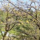 성주봉 자연휴양림 숲속의집 화장실 이미지