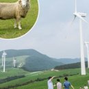 달아목장 이미지