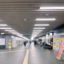 라온캣독 호텔 대전점 | 롯데호텔 서울 , 호캉스 태교여행 , 디럭스 스위트룸 , 룸서비스 후기