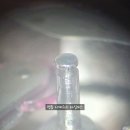 오토데이즈 이미지