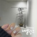 하양지구 8 | 광주 쌍촌동 상무지구 운천역 자석젤 네일 맛집 네일링크