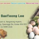 고향자연식품
