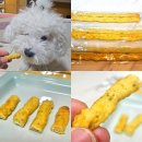 몽몽야옹 이미지