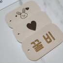 초음파앨범 공일공칠 초음파 사진 보관 꾸미기