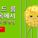 마시모헤어