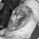 잠실종합동물병원 이미지