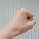 하도내음 | 셀바티코 포레스타 베르데 핸드 솔루션 선물 받은 후기