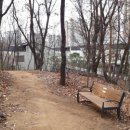 숲속의 별들 이미지