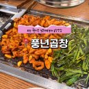부산 경성대부경대 맛집 &#39;풍년곱창&#39; 방문 후기