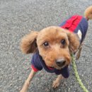 헤이븐동물병원 이미지