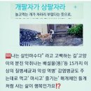 🦝유해동물 길'고양이 생명보다 🇯🇵일본열도 사람묵숨 을 더 귀히 여기신 🏛 아베상"❓언제'어디서'누구로 부터 받은 교육인지요. 이미지