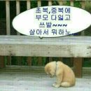 복 이미지