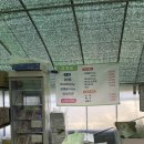 남산리 하우스 | 하동 미나리삼겹살 맛집 청학 방문 후기｜기간·가격·아이와 가기 좋은 봄 제철 맛집(하동미나리축제)