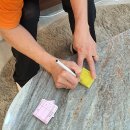 (주)세이브존울산점 | 웃음 가득했던 올랜드아울렛울산점 정기이벤트 후기 / 천원의행복 / 반의반의반값