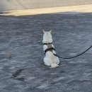 대림게임장 | 겨울을 준비해 (쇼핑한다는 뜻)