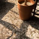 이화다방 이미지