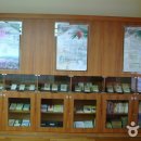 김삿갓문학관 이미지