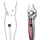 올인원피티앤테라피 이미지