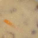 레이크포레스트&백운메밀 이미지