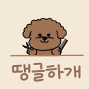 땡글하개 네이버블로그