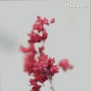 서천노인요양원