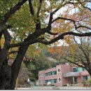 상평현서분교 이미지